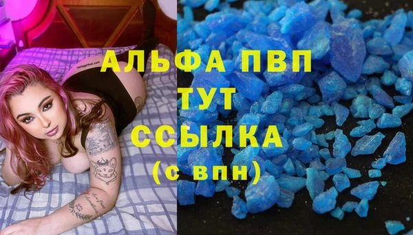 сатива Баксан
