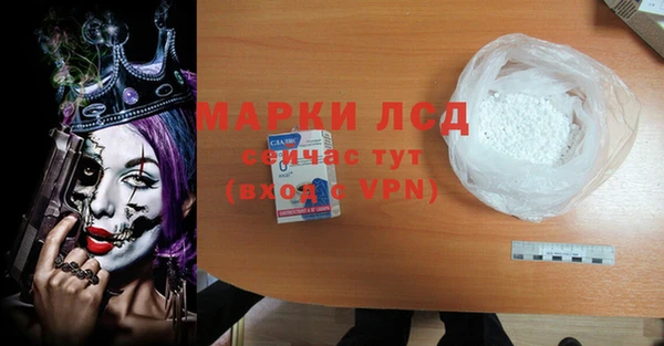 сатива Баксан
